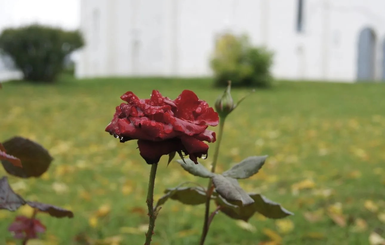 Фото 3