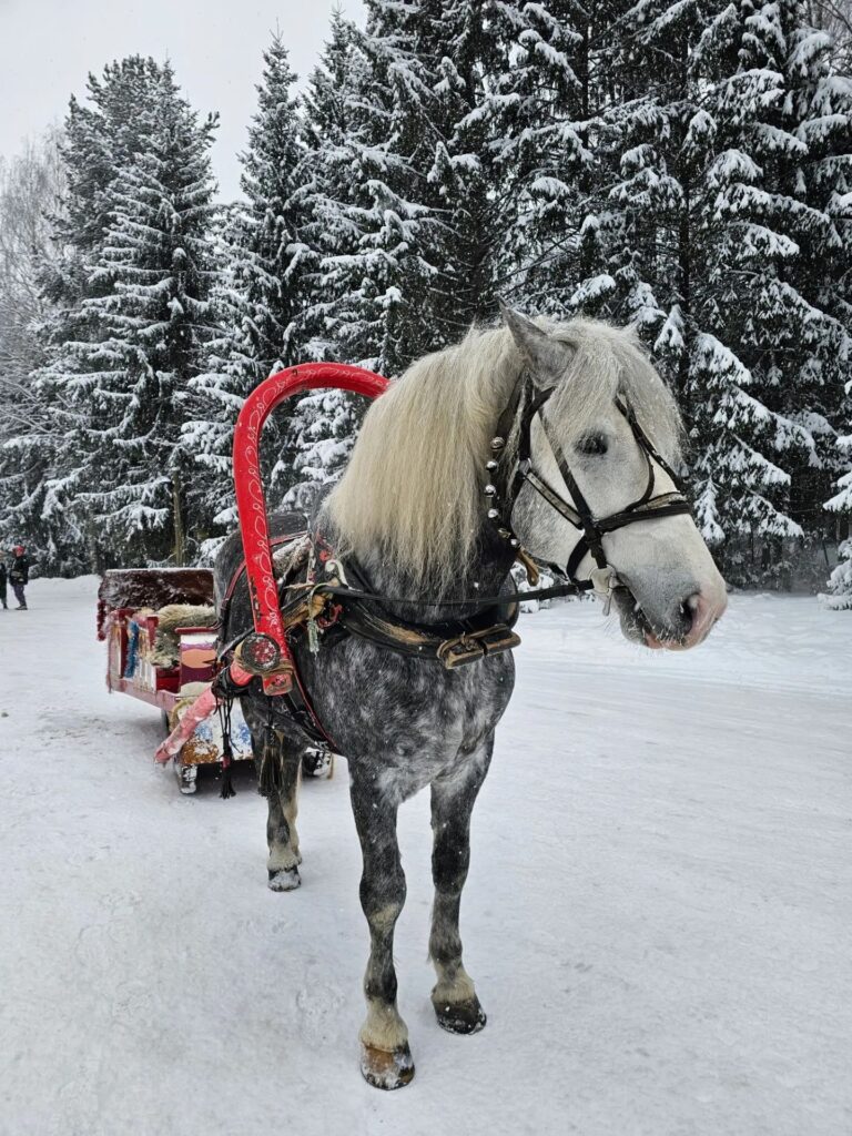 Новогодние Мандроги